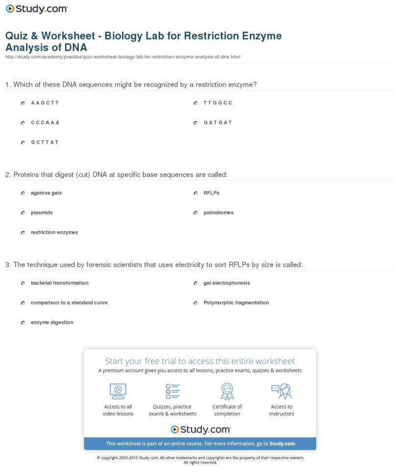 Enzyme Worksheet Biology Printable Math Worksheets