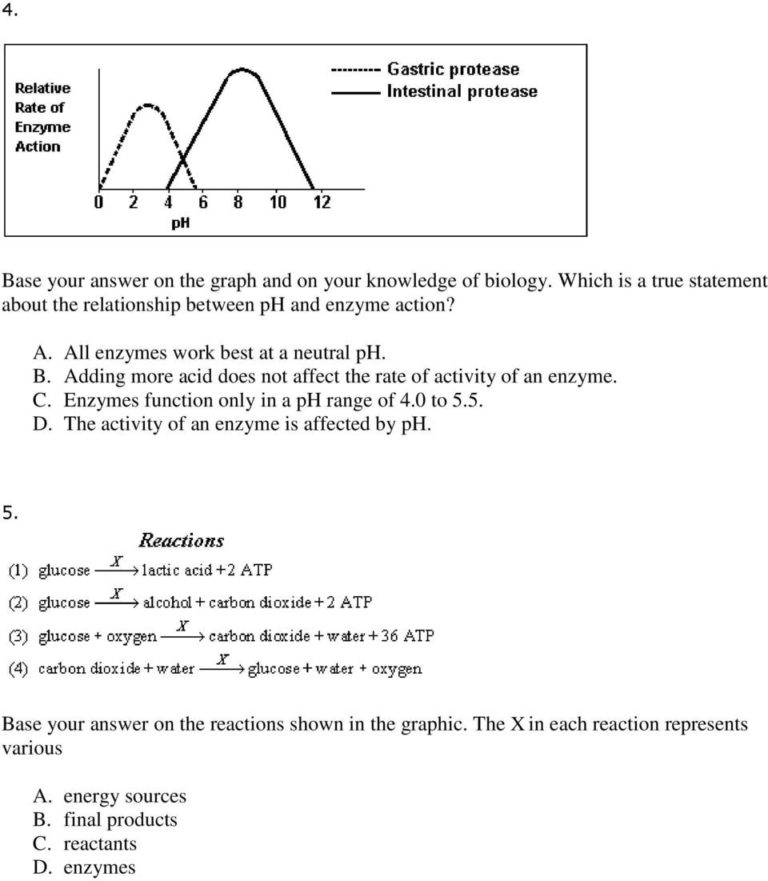 Enzymes Practice Questions 1 Pdf Db excel