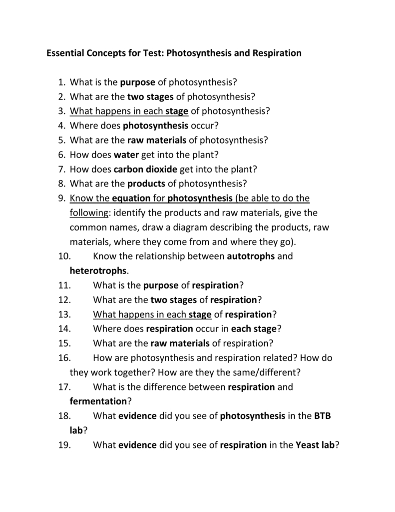 Essential Concepts For Test Photosynthesis And Respiration