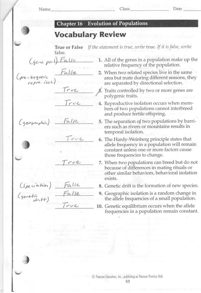 Evolution Evolution Review Worksheet Evolution Evolution Review Worksheet