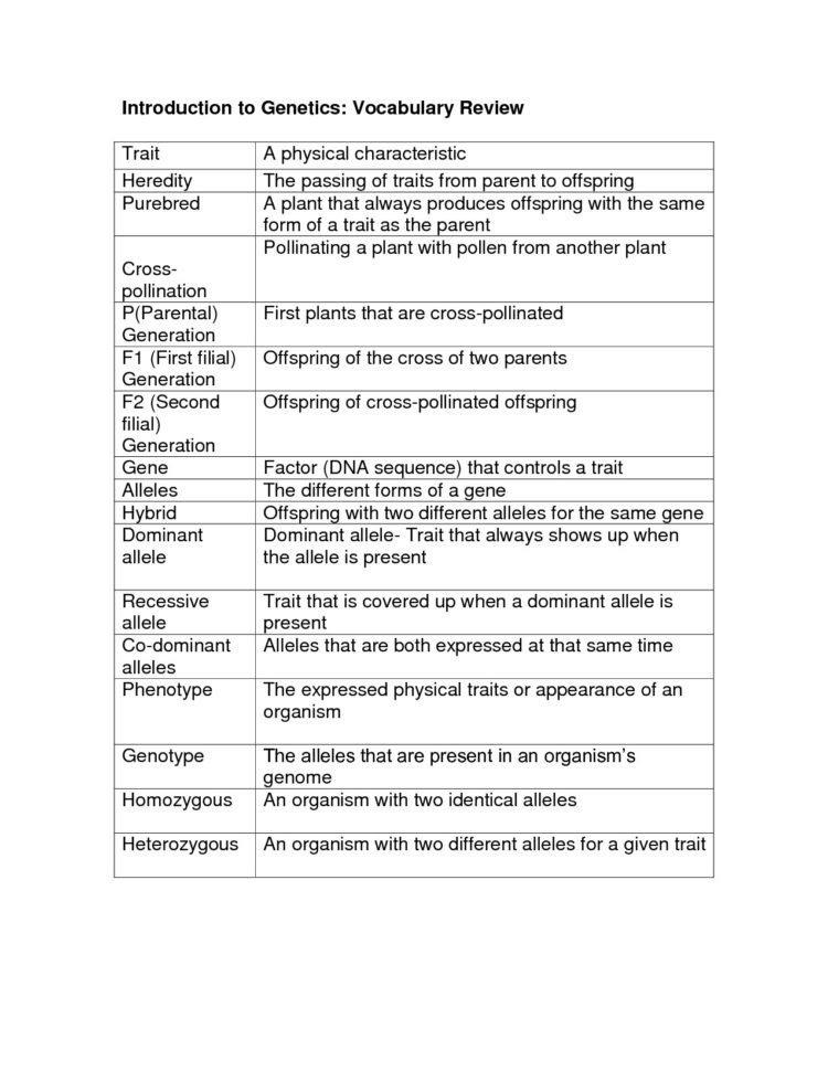 Evolution Vocabulary Evolution Vocabulary Worksheet Awesome