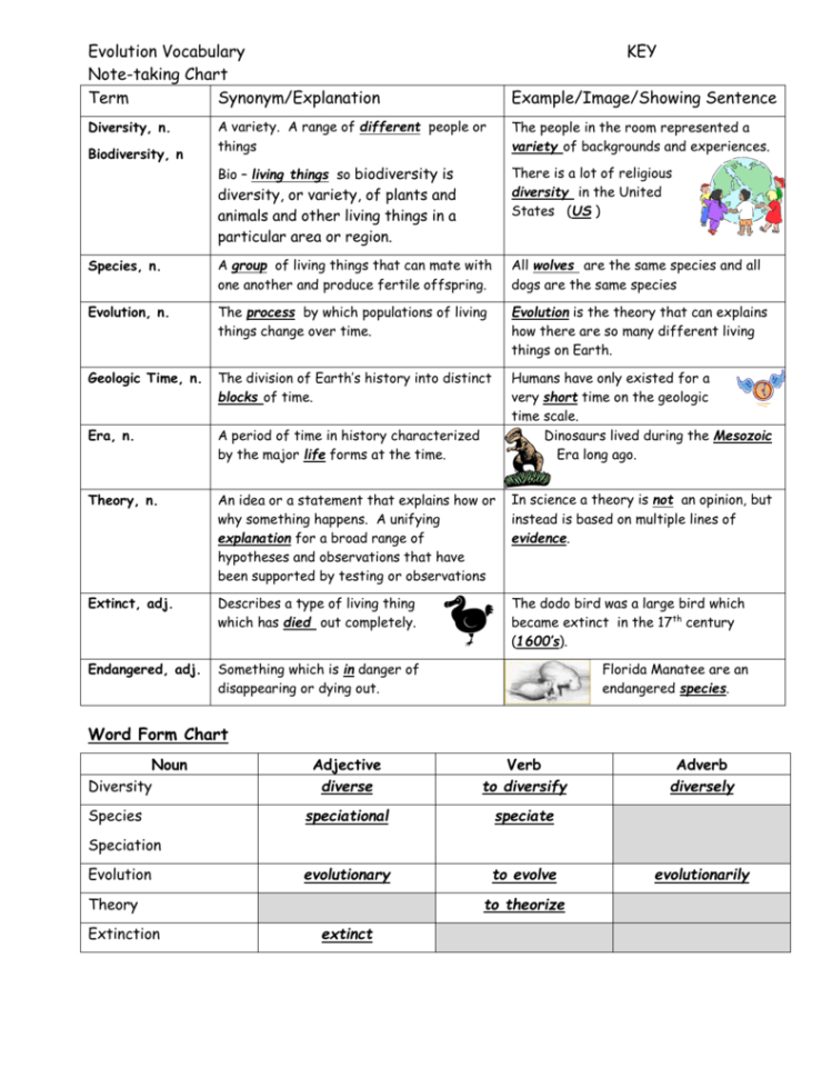 Evolution Vocabulary Notetaking Chart