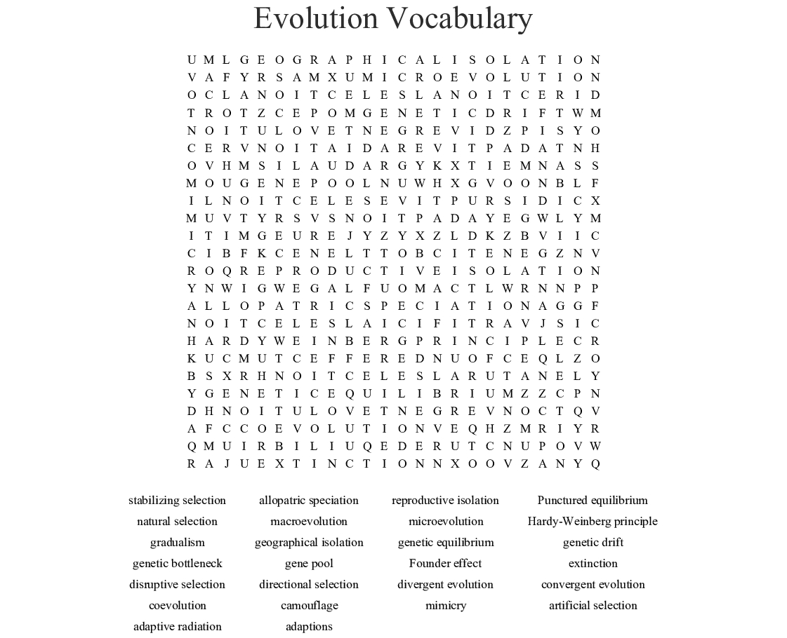 Evolution Vocabulary Worksheet Db excel