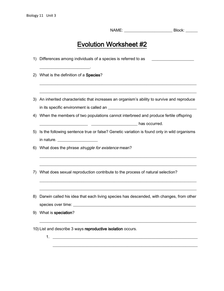 Evolution Worksheet 2