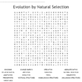 Evolutionnatural Selection Word Search  Word