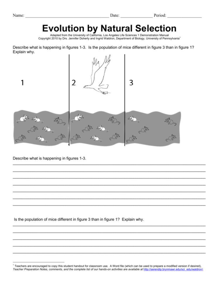 Evolutionnatural Selection Worksheet