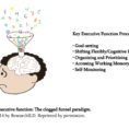 Executive Function Strategies The Building Blocks For