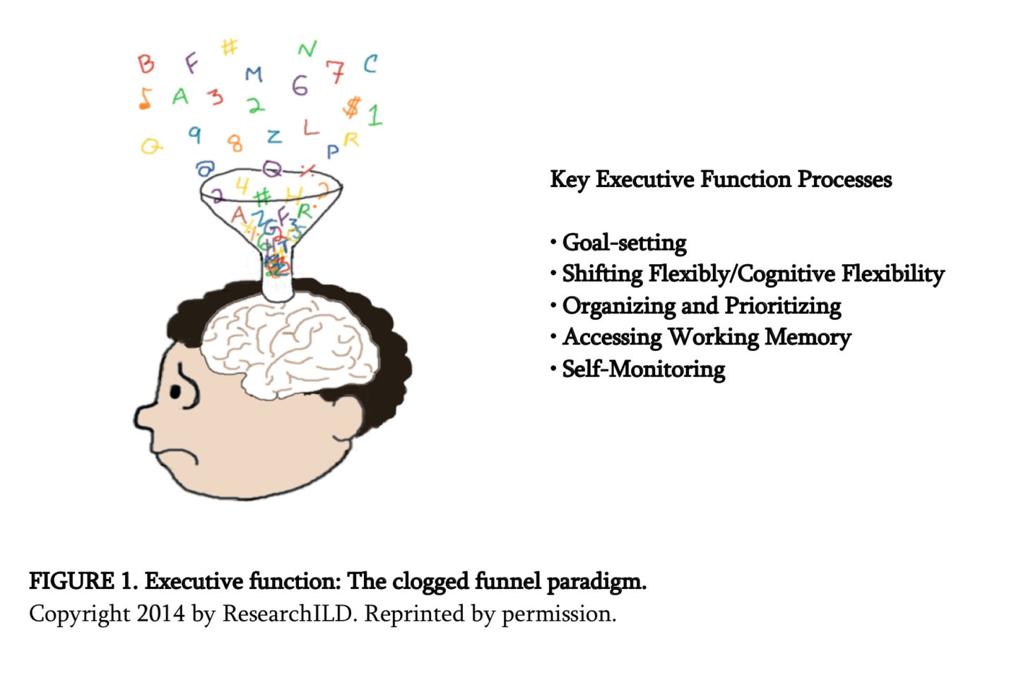 Executive Function Strategies The Building Blocks For