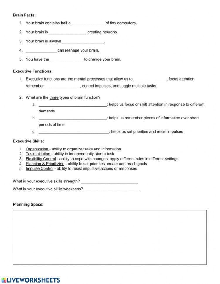 Executive Functioning  Interactive Worksheet