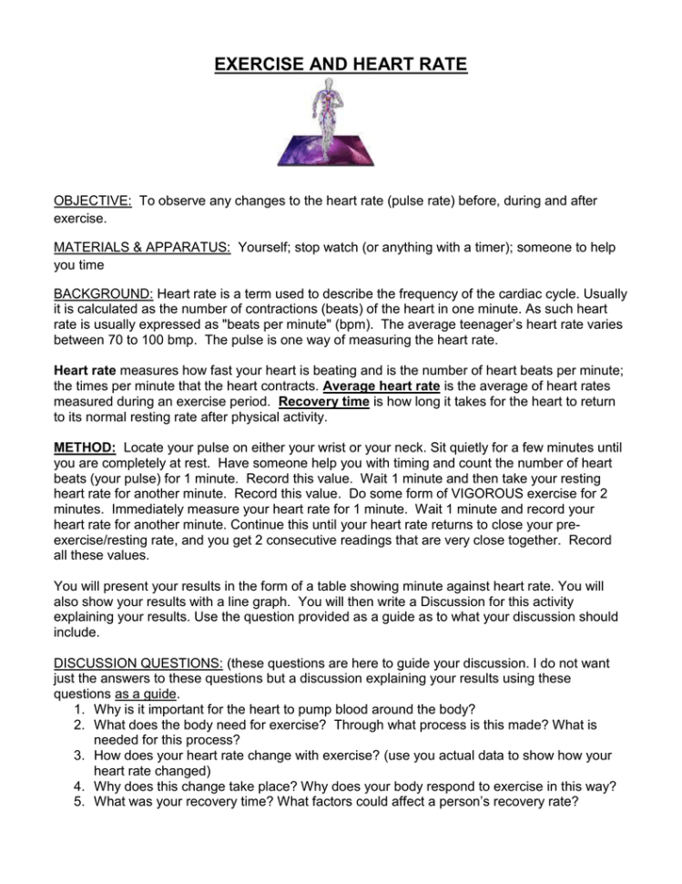 Exercise And Heart Rate Activity