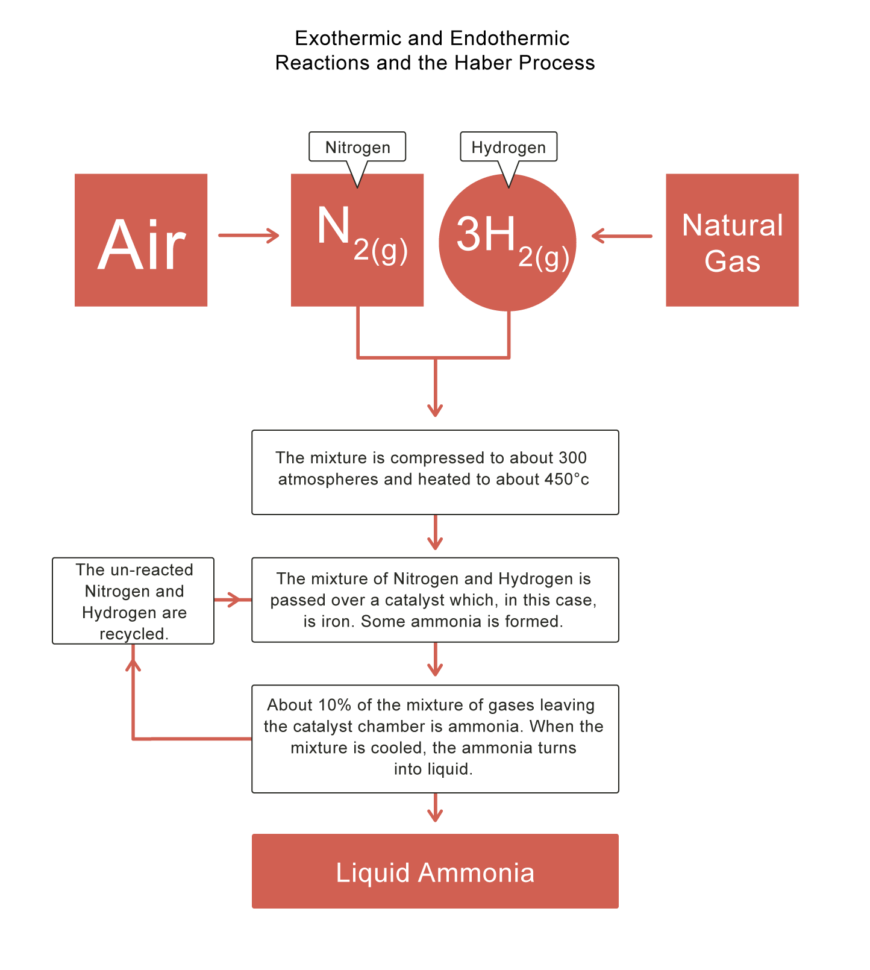 Exothermic And Endothermic Reactions And The Haber