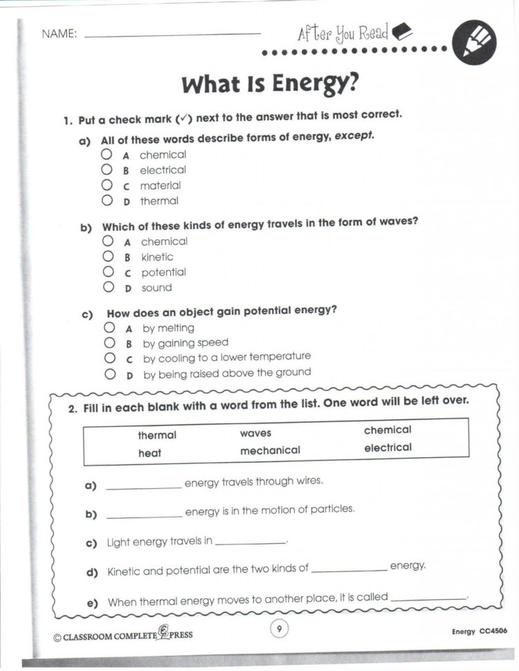 Exploring Biomes Worksheet Answers