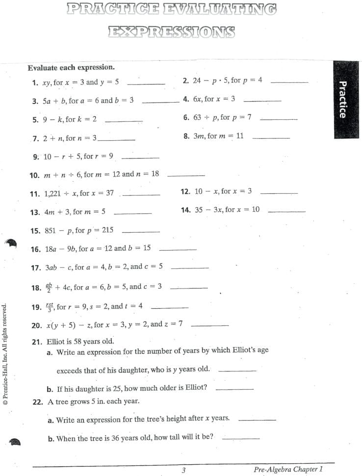 Expressions Sheet Math Chic Algebraic Expression Solving