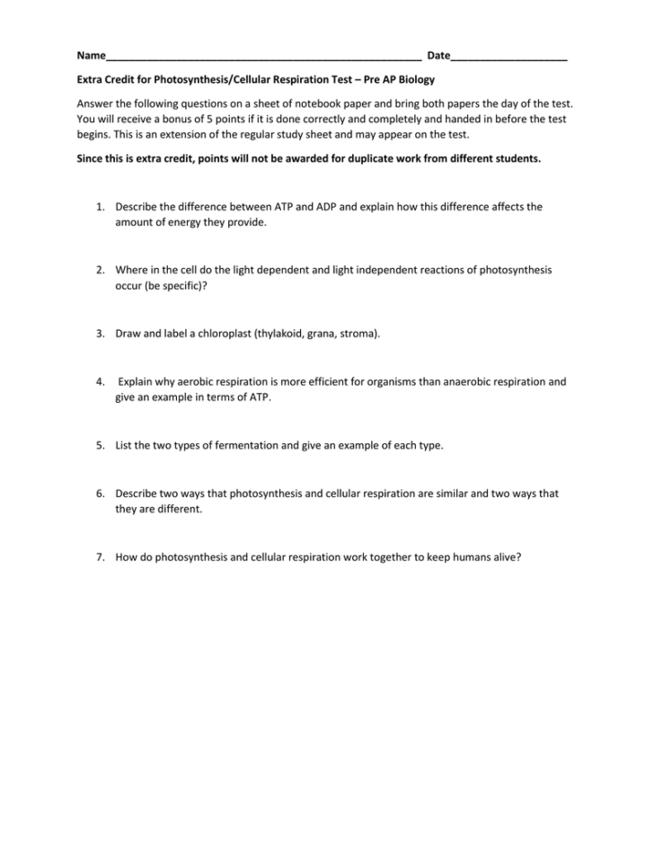 Photosynthesis And Cellular Respiration Worksheet High School