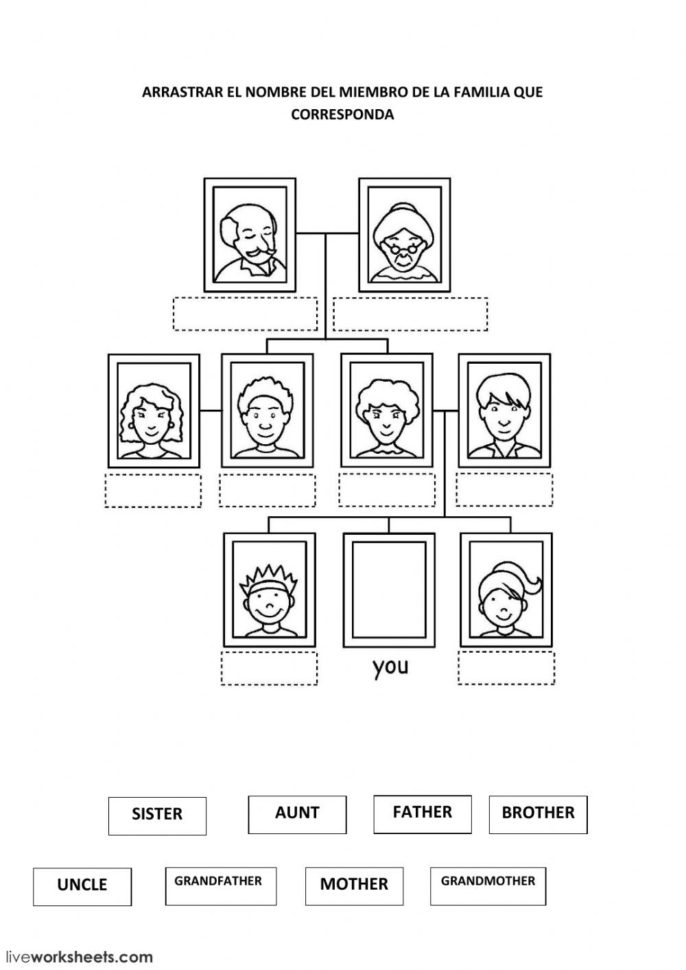 Family La Familia Online Exercise