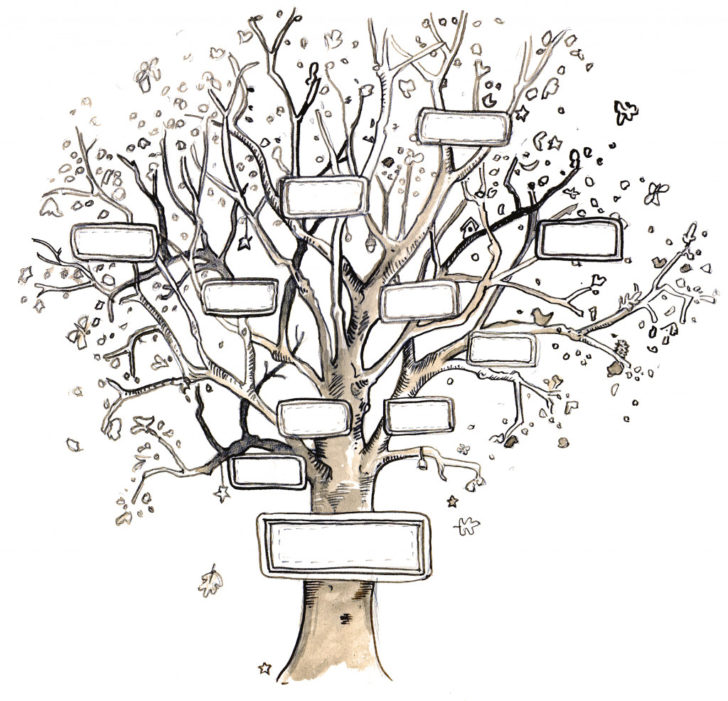 Family Tree Worksheet Printable