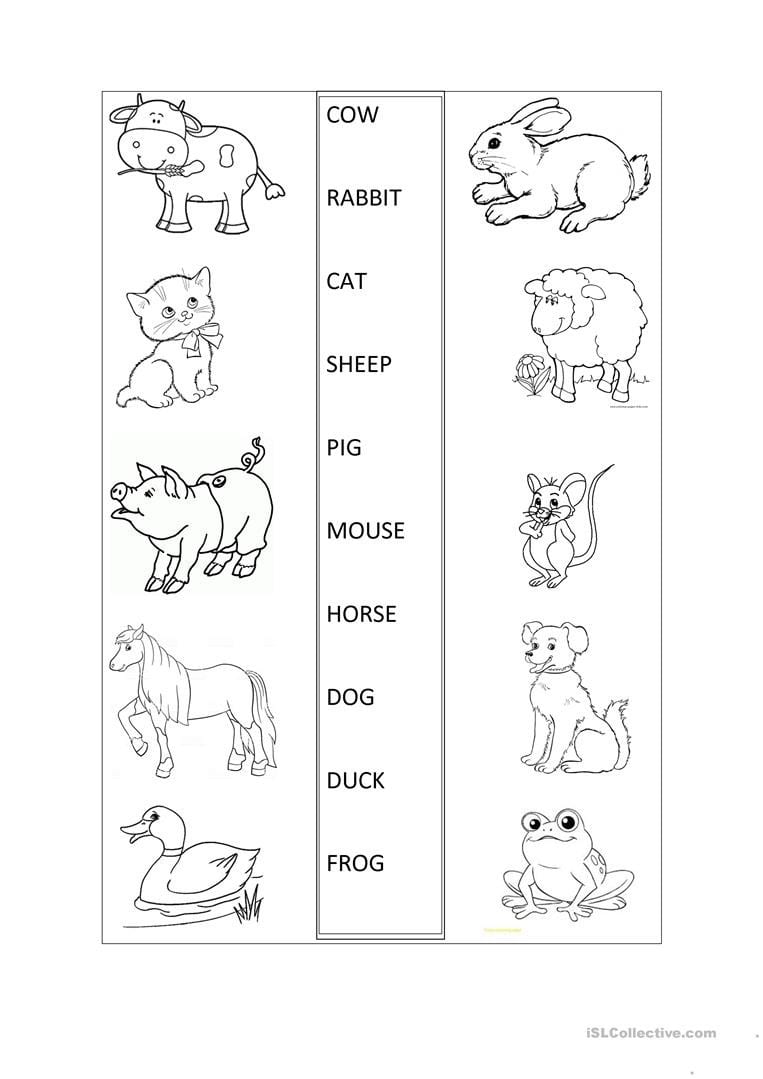Farm Animals  English Esl Worksheets