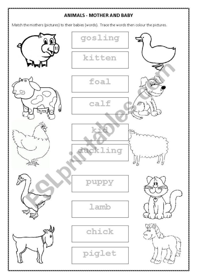 Farm Animals  Mothers And Babies  Esl Worksheetkmallett