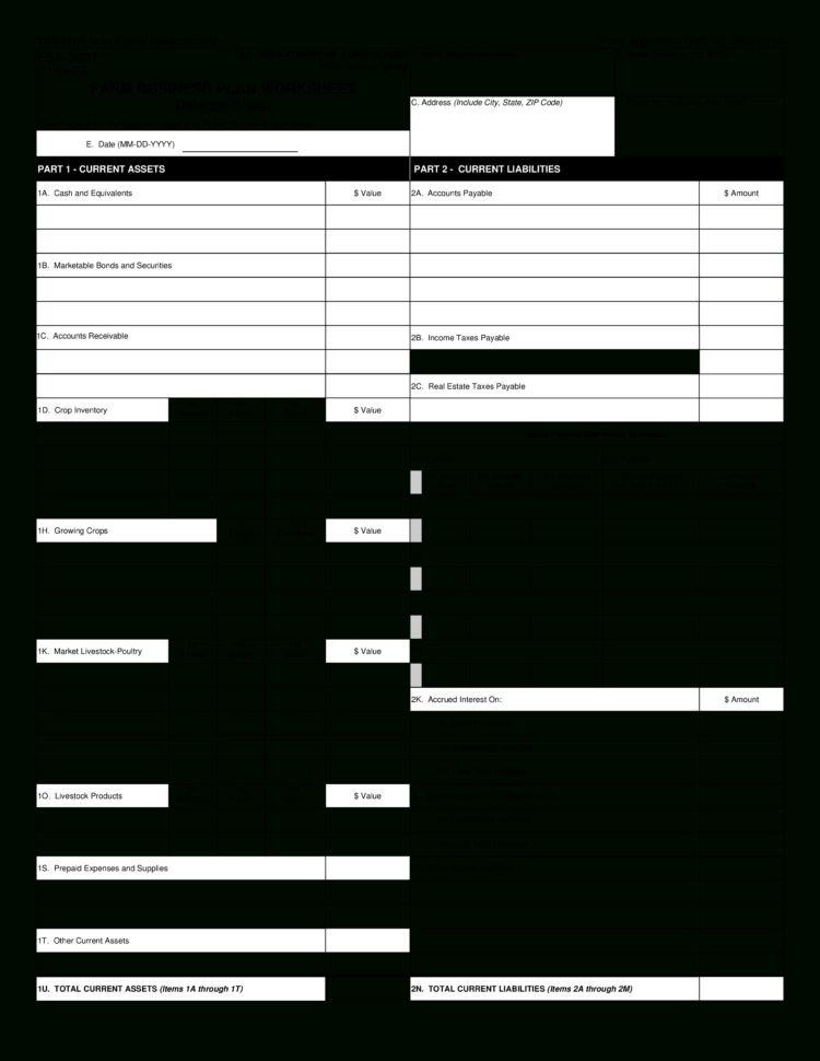 Farm Business Plan Worksheet Balancesheet  S At