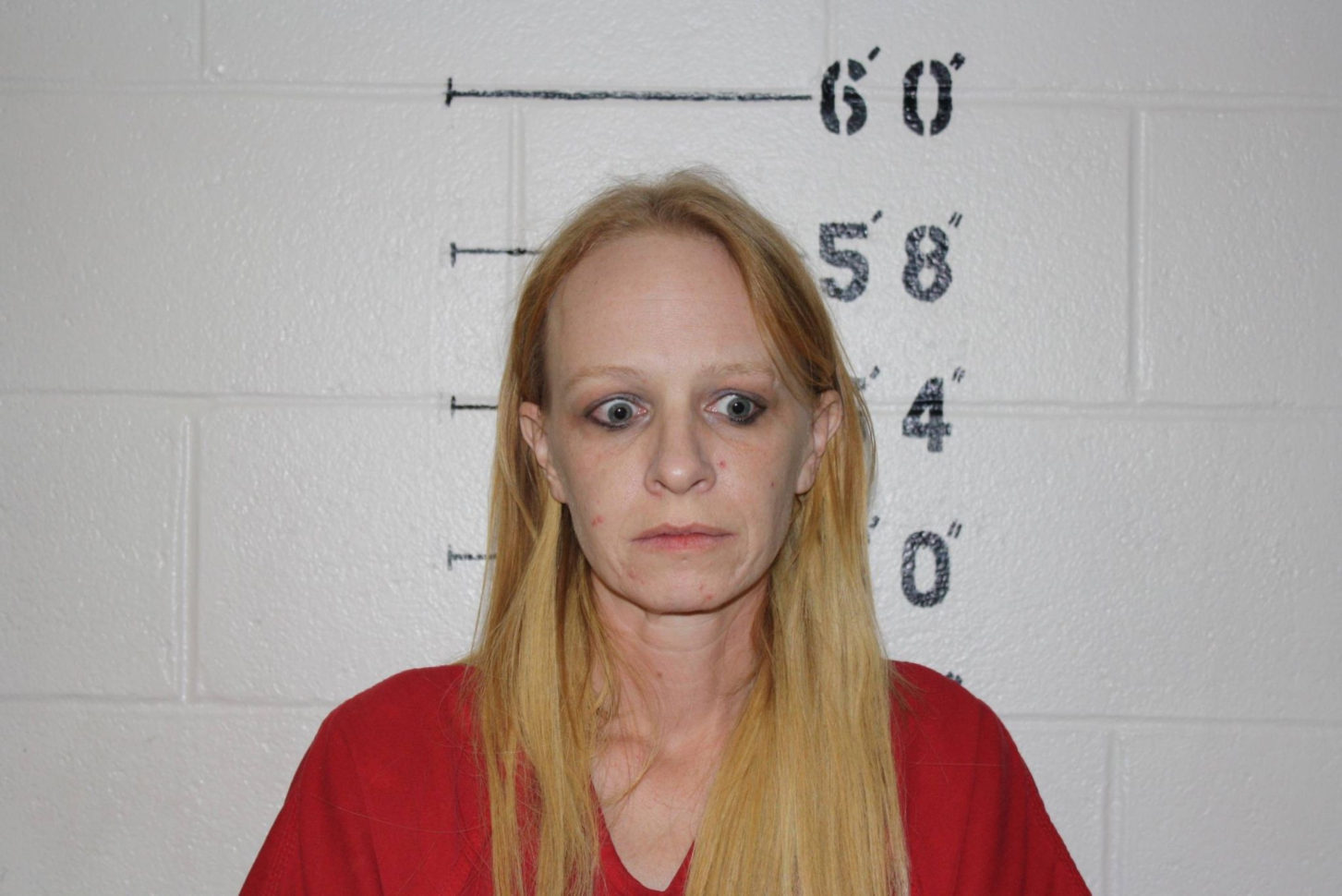 Felony Arraignment Worksheet