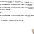 Females Who Are "carriers" For Hemophilia  A Theoretically Pass The  Allele For Hemophilia To Half Of Their Offspring B Theoretically Pass The  Allele For Hemophilia To Half Of Their Daughters Who