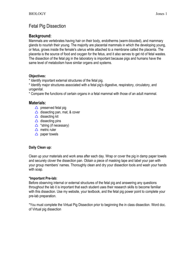 Fetal Pig Dissection