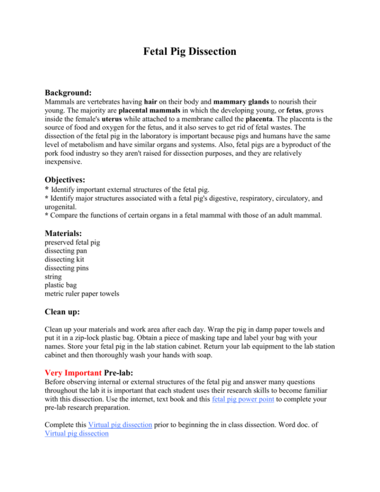 Fetal Pig Dissectiondata Sheet