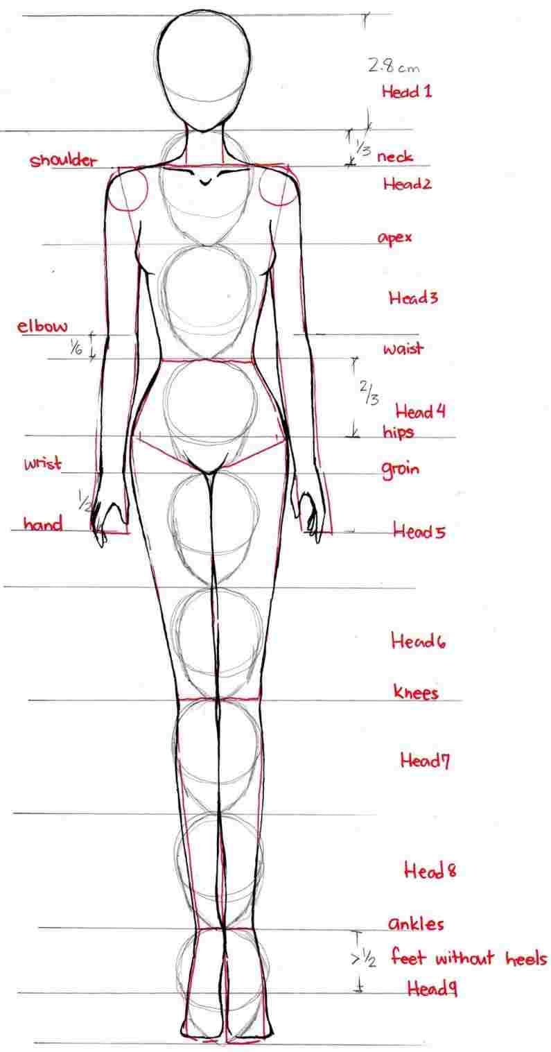 figure-drawing-proportions-worksheet-db-excel