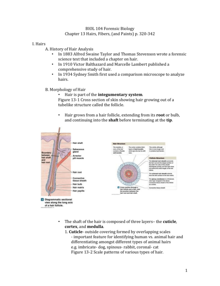 File  Biol104 Forensic Biology