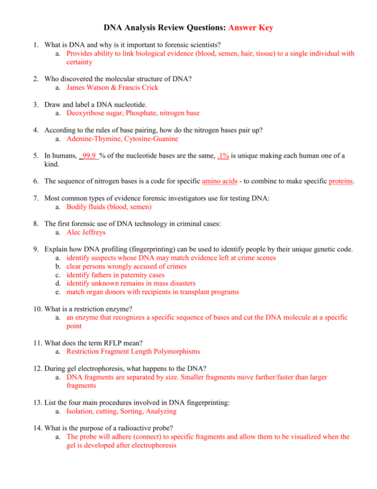 File Dna Review Questions 12 Answers