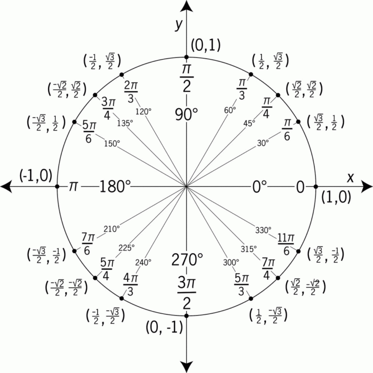 Unit Circle Math Worksheet