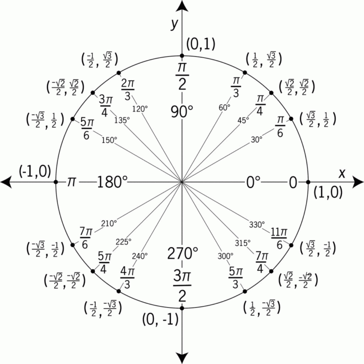 Fill In The Unit Circle Worksheet Db excel