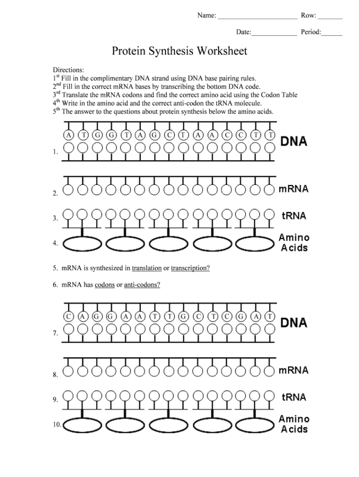 Fillable Online Protein Synthesis Worksheet   Web