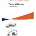 Financial Literacy Credit Basics  Pdf