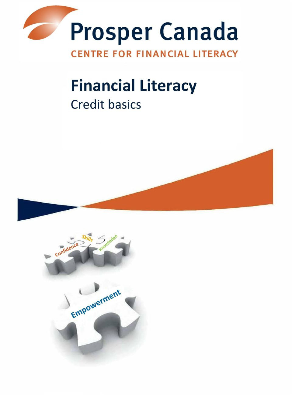 Financial Literacy Credit Basics  Pdf