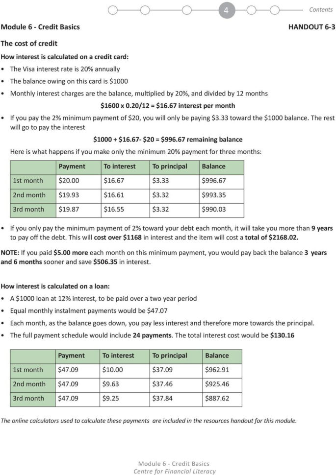 Financial Literacy Credit Basics  Pdf
