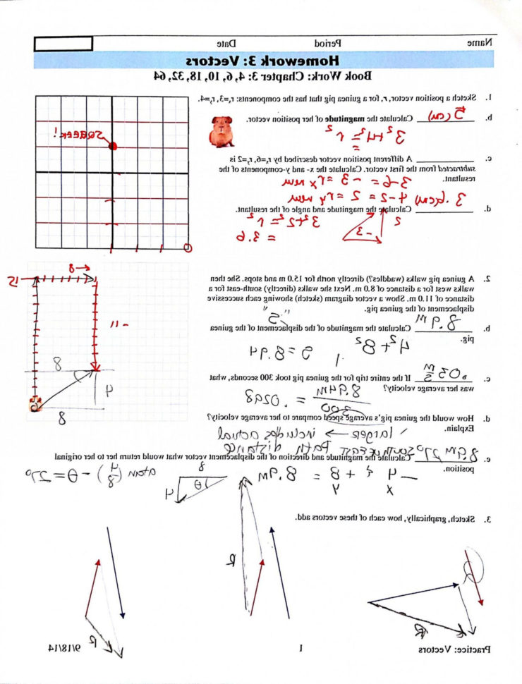 Find The Slope Worksheet