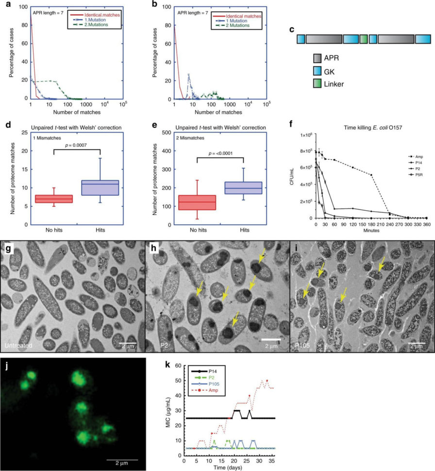 Fingerprint Challenge Worksheet Key