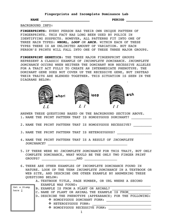 Fingerprint Worksheet Answers
