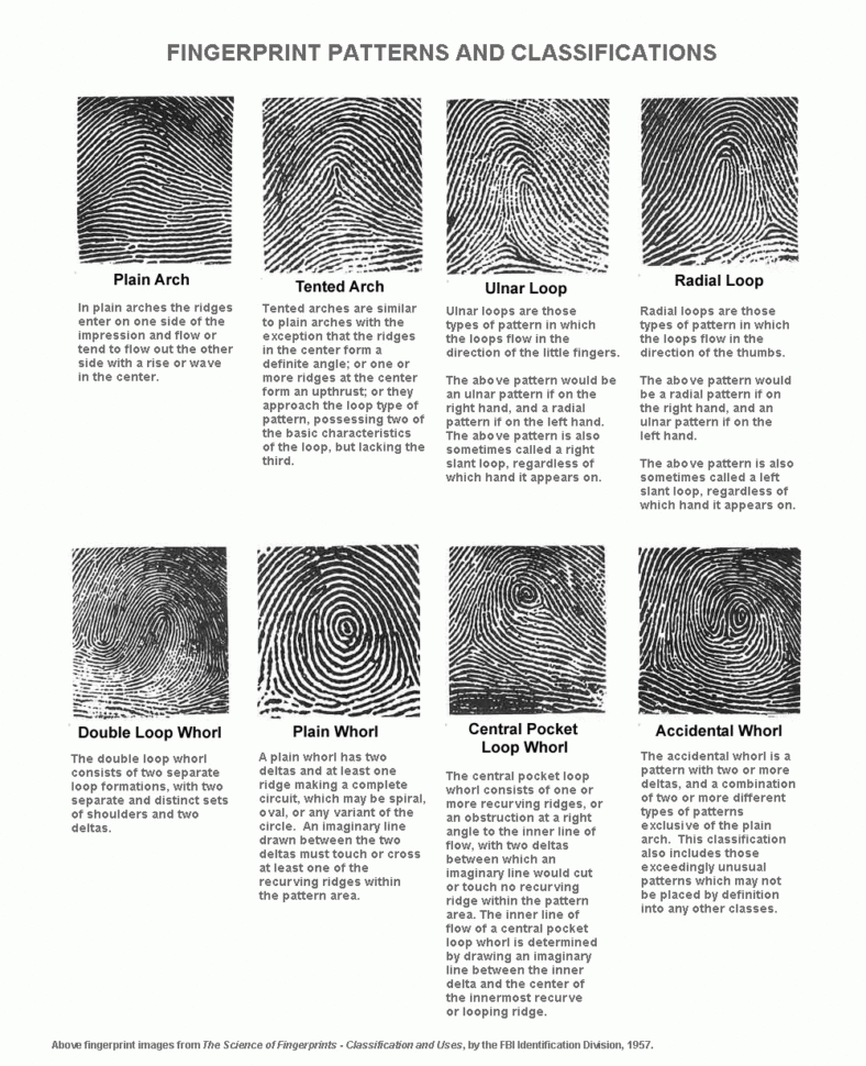Fingerprinting Merit Badge