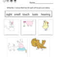 Five Senses Worksheet For Kids  Free Kindergarten Learning