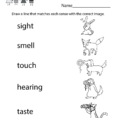 Five Senses Worksheet  Free Kindergarten Learning Worksheet