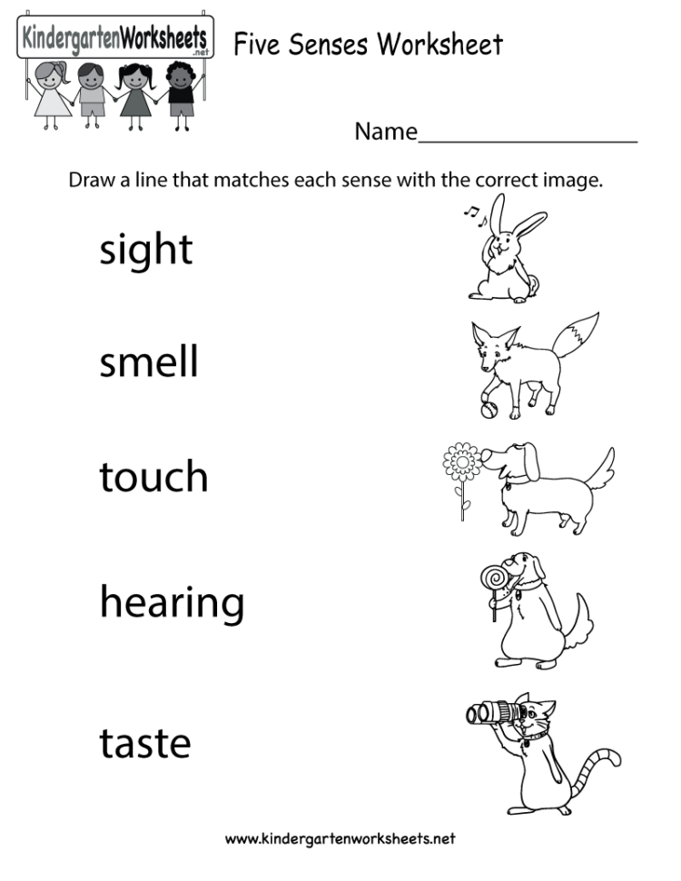 Five Senses Worksheet  Free Kindergarten Learning Worksheet