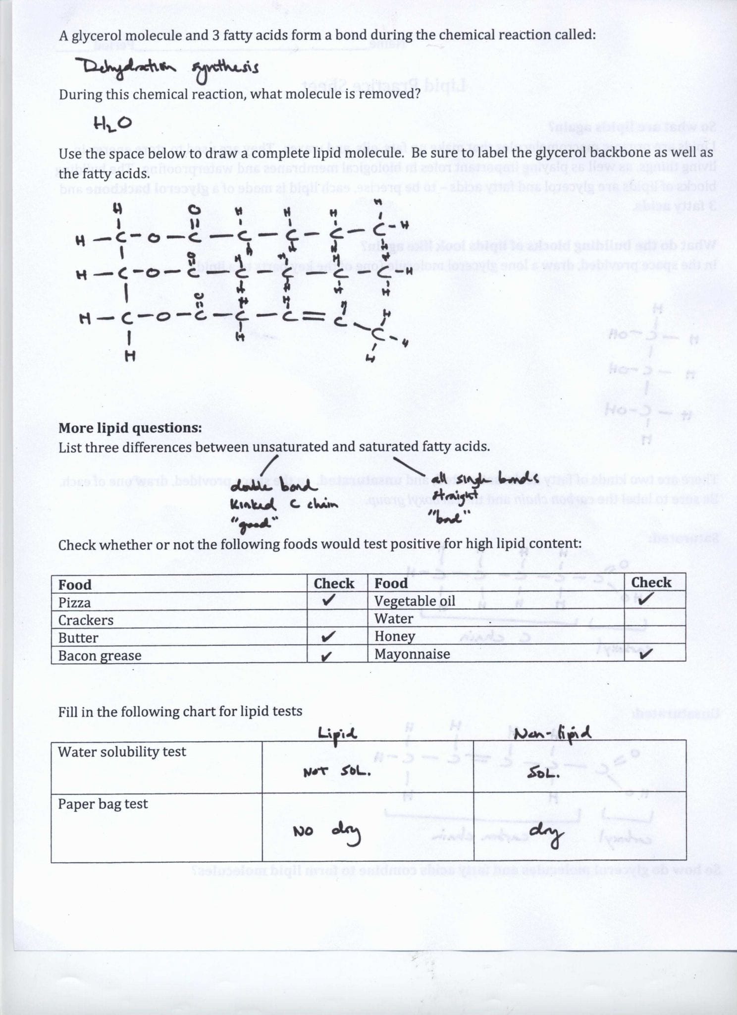 Five Types Of Chemical Reaction Worksheet