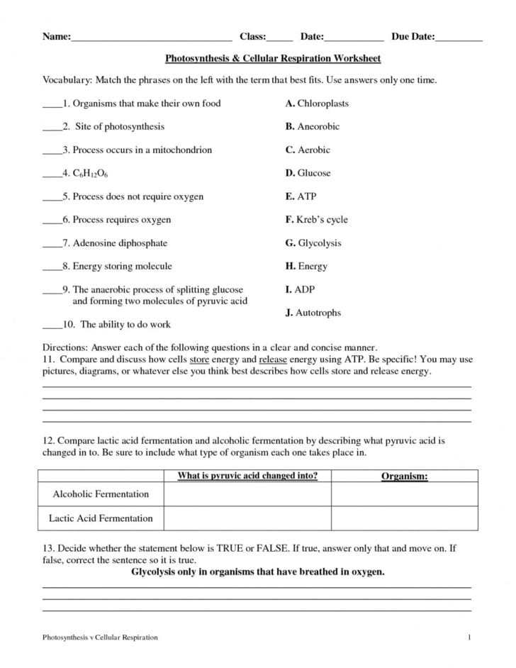 Diagramming Sentences Worksheets With Answers