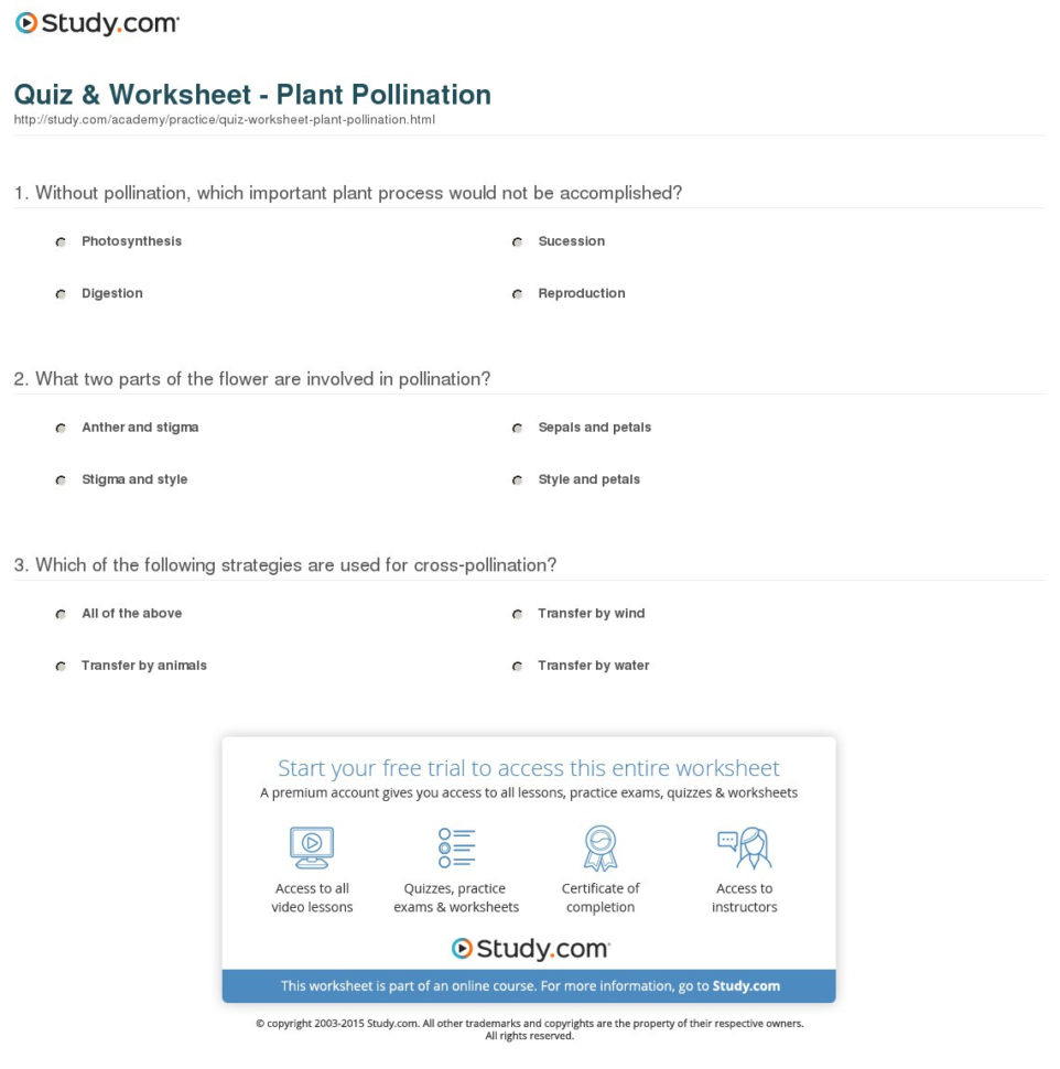 Flower Parts And Pollination Worksheet Answers  Cooler Home