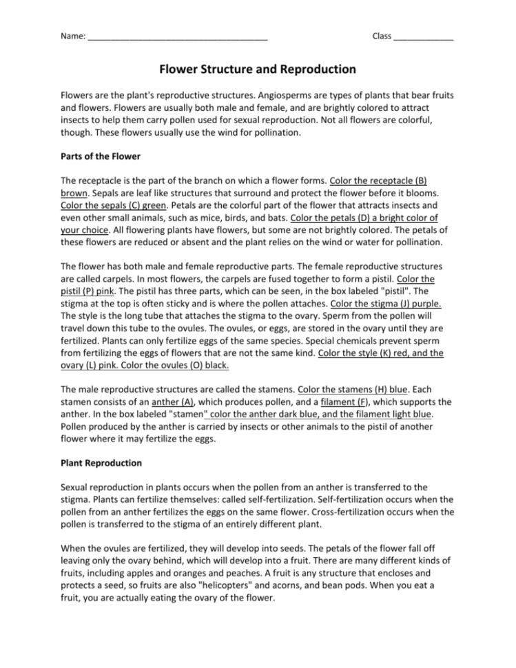 Flower Structure And Reproduction