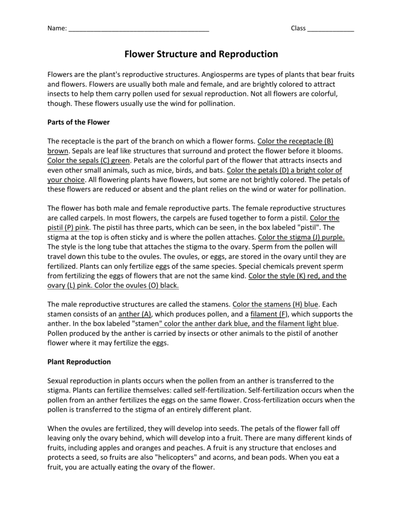 Flower Structure And Reproduction Answer Key