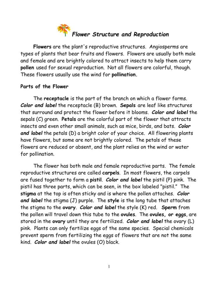 Flower Structure And Reproduction