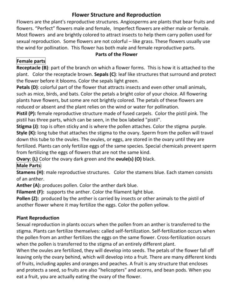 flower-structure-and-reproduction-worksheet-answers-db-excel